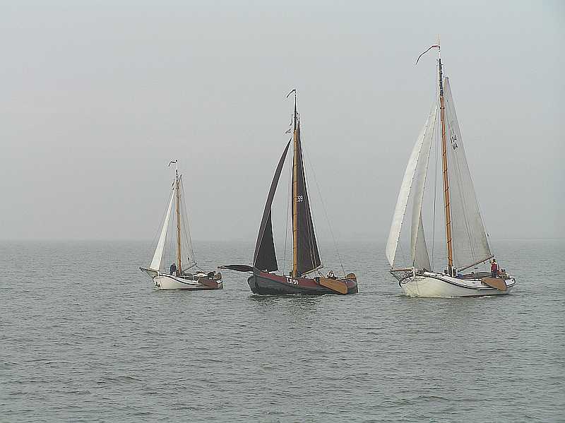 VA114 & LE59 &'twite Doke